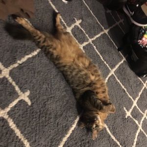 Meet your Posher, Jay